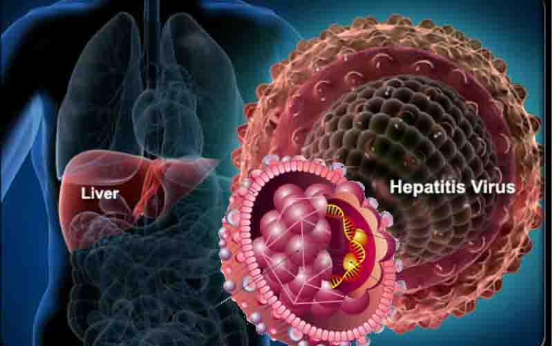 علائم و درمان هپاتیت C‌