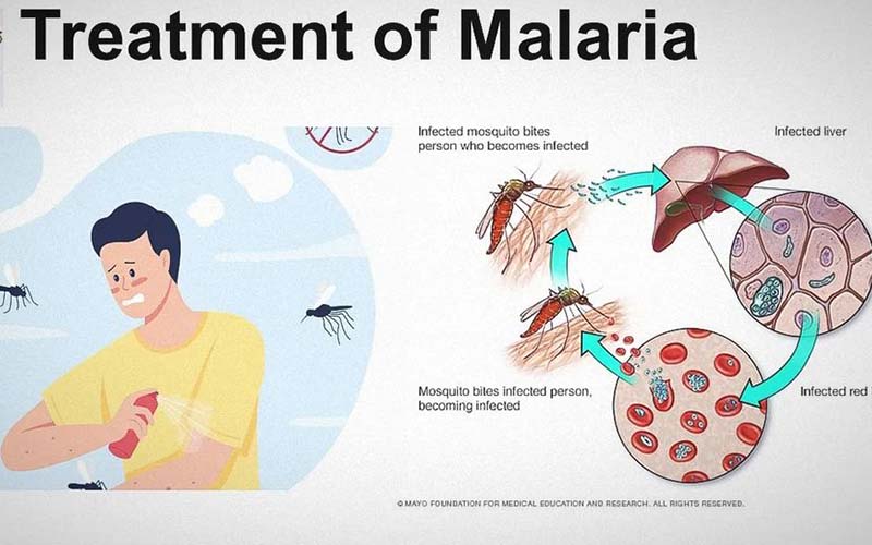 پیشگیری و درمان مالاریا