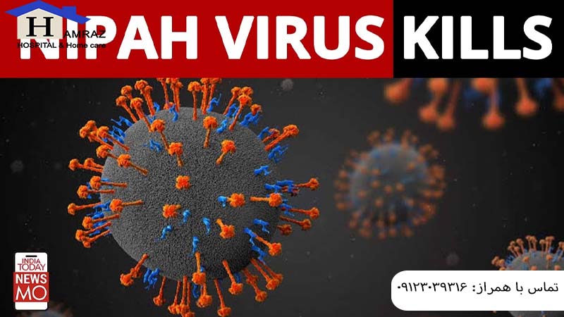 ویروس نیپا