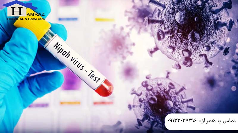 ویروس نیپا